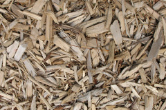 biomass boilers Penrhyn Coch